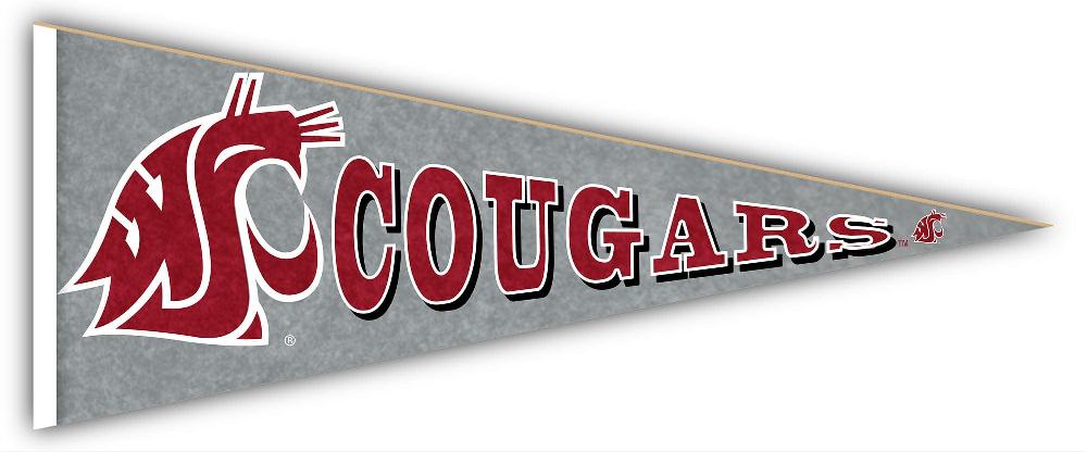 fan creations Washington State Pennant