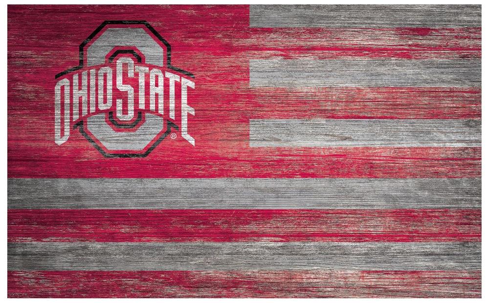 fan creations Ohio State University Distressed Flag 11x19