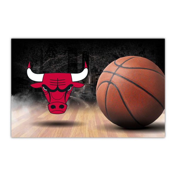 fanmats NBA - Chicago Bulls HIDEFMAT