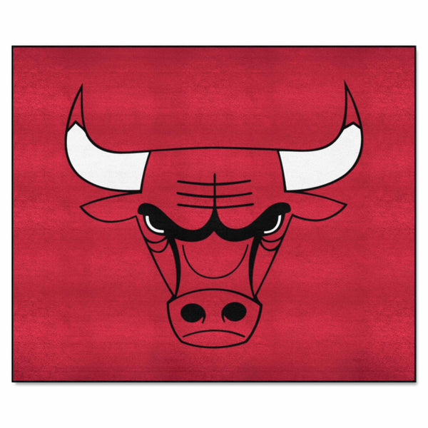 fanmats NBA - Chicago Bulls Tailgater Mat