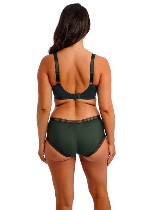 Fantasie Brief Evergreen