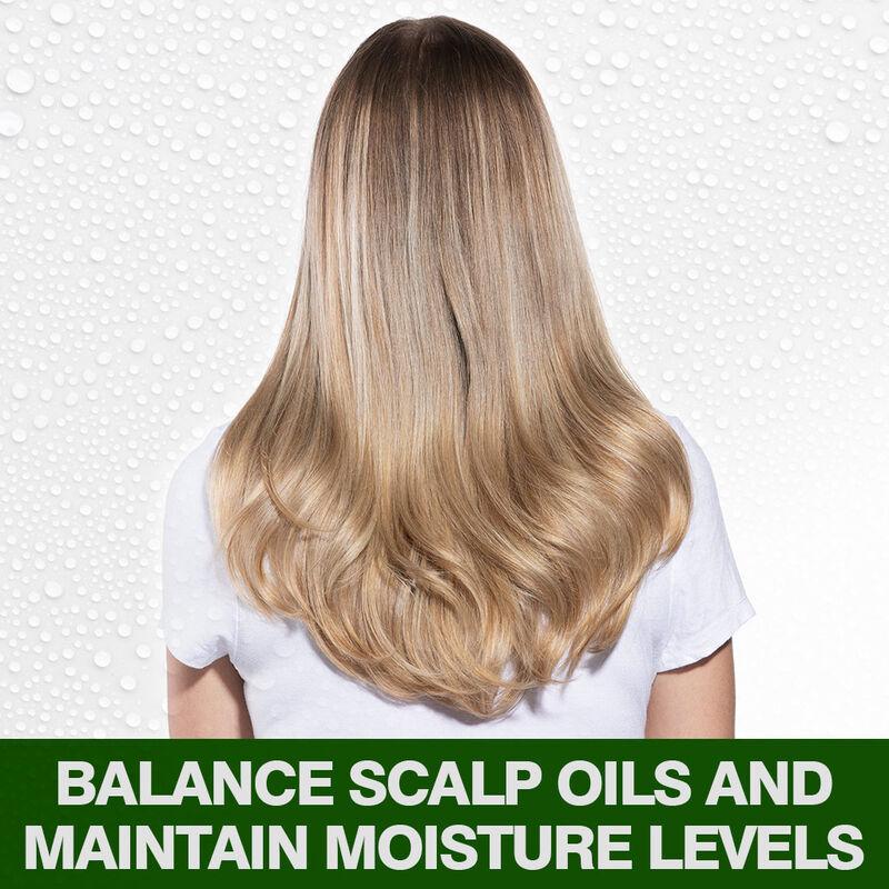 Farouk Tea Tree Oil Shampoo