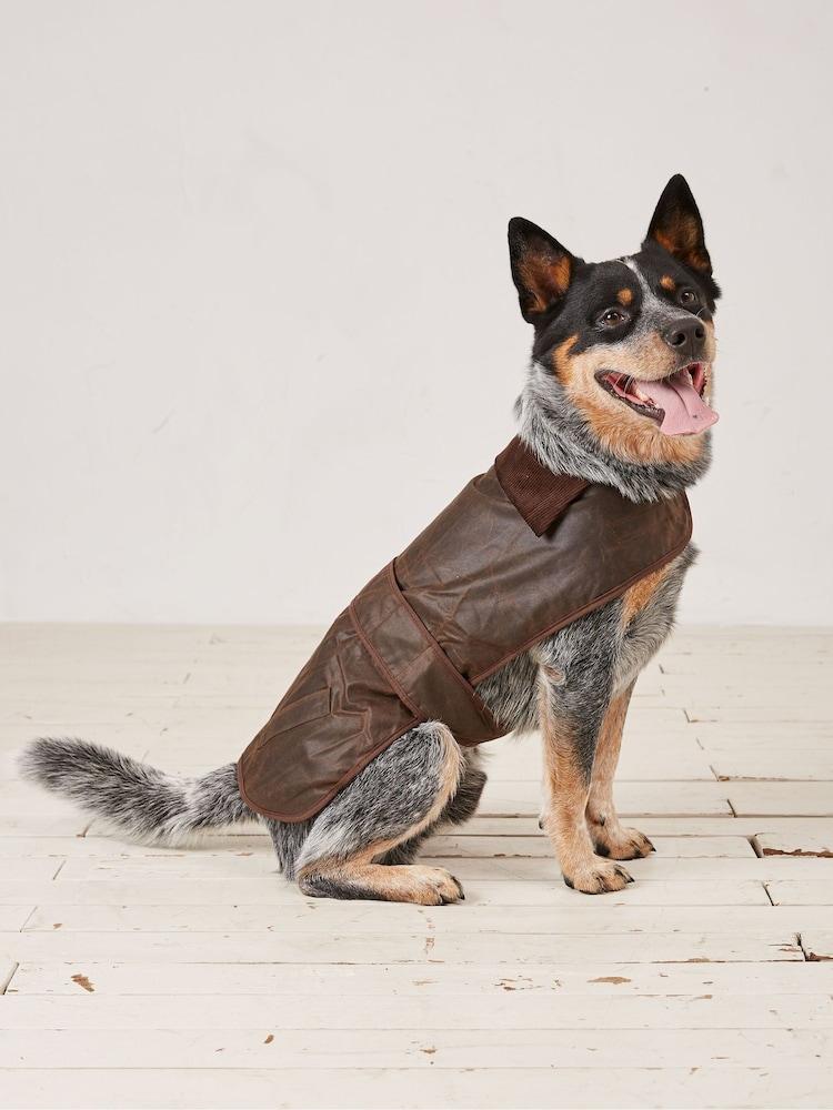 Fat Face Brown Sussex Dog Coat