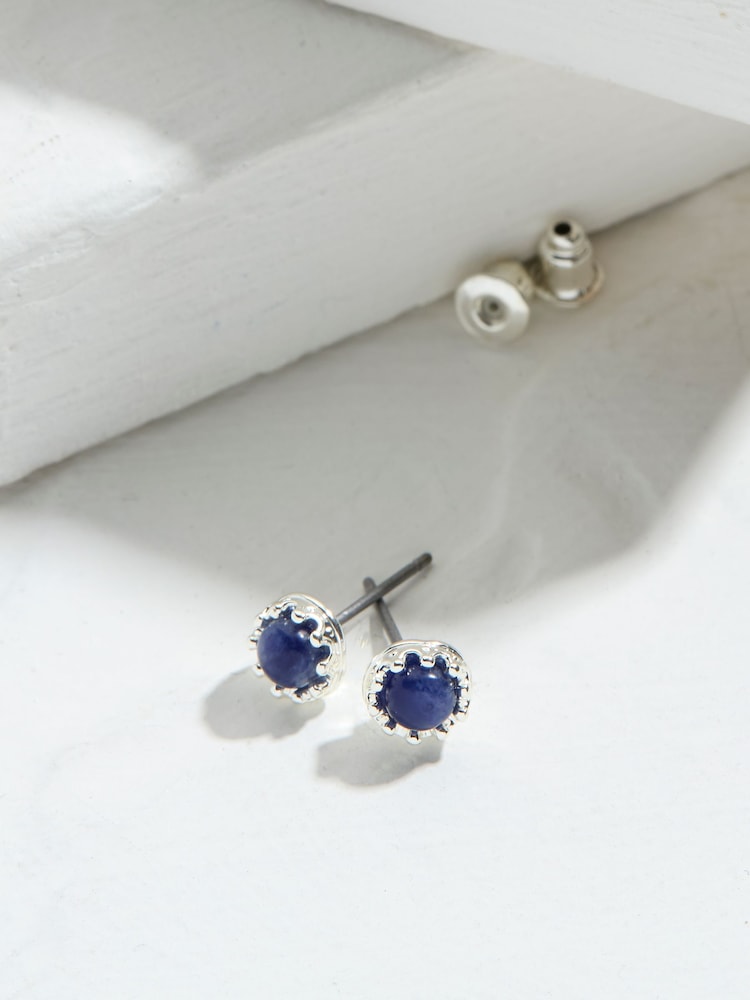Fat Face Navy Stone Stud Earrings