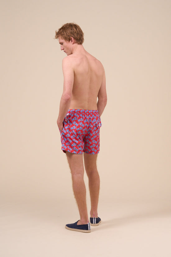 Fedeli Madeira - The Sustainable Swim Trunk - Turtles Pattern DARKRED