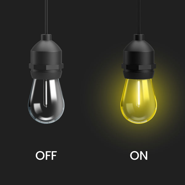 Feit Electric 24 Ft. Color Changing Filament LED String Light With Remote