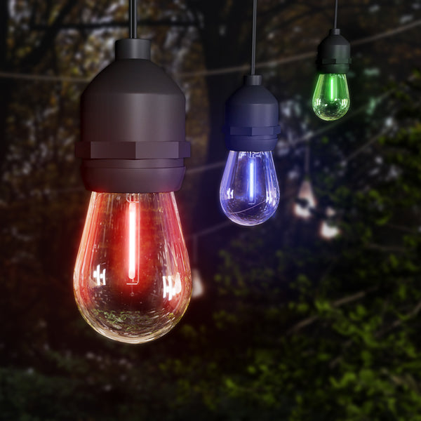 feit electric 24 ft. Color Changing Filament LED String Light with Remote