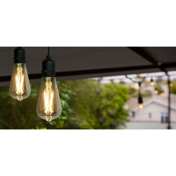 Feit Electric 30 Ft. LED String Lights With Filament ST19 Bulbs