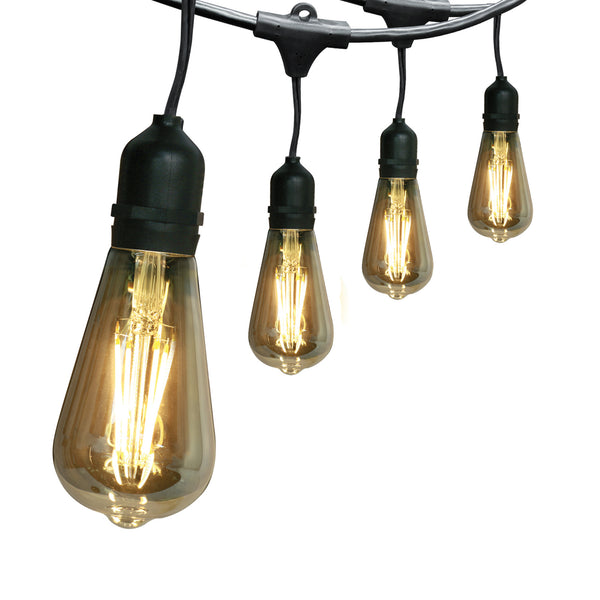 feit electric 30 ft. LED String Lights with Filament ST19 bulbs