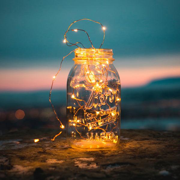 Feit Electric 30 Ft. Silver Wire Warm White LED Fairy String Light With Remote
