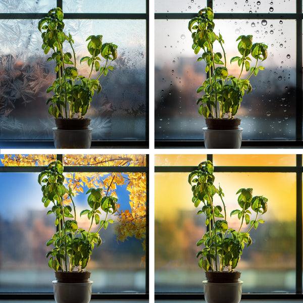 Feit Electric 4 Ft. 18W (32W Equivalent) Full Spectrum G13 Base Direct Replacement (Type A) (T8 Replacement) LED Plant Grow Light Tube