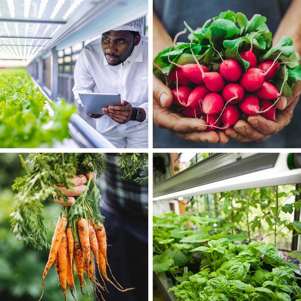 Feit Electric 4 Ft. 18W (32W Equivalent) Full Spectrum G13 Base Direct Replacement (Type A) (T8 Replacement) LED Plant Grow Light Tube