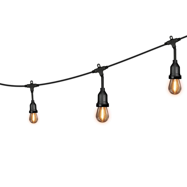 feit electric 48 ft. Soft White (2200K) Filament LED String Light
