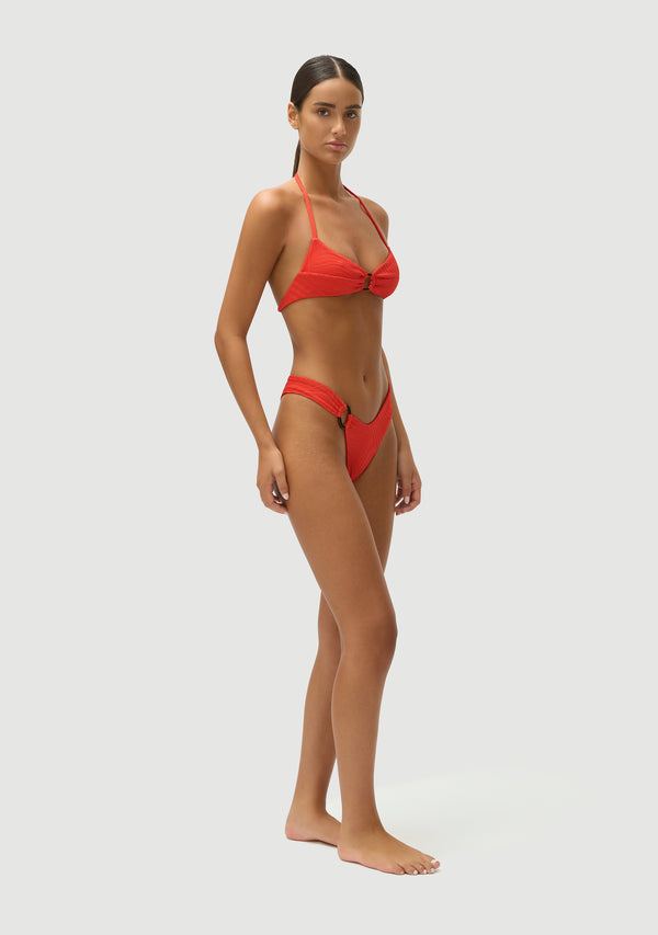 Fella Arthur Top Campari