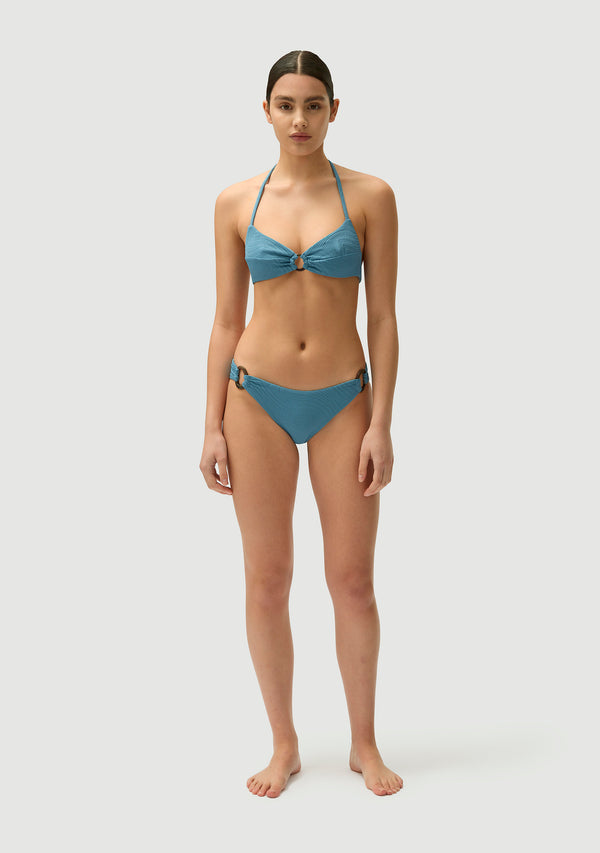 Fella Arthur Top Hydrangea