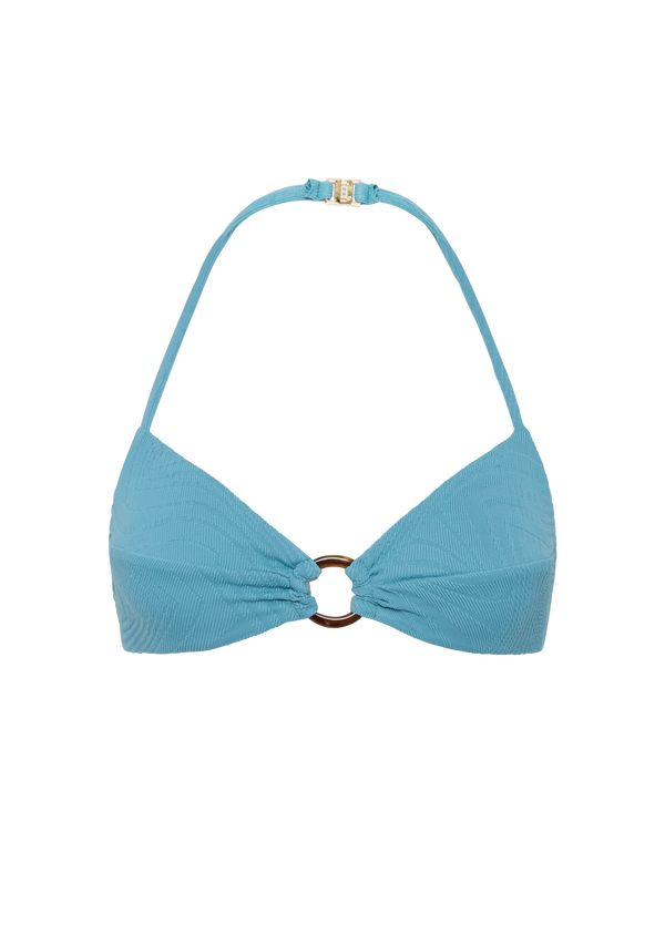 fella Arthur Top Hydrangea