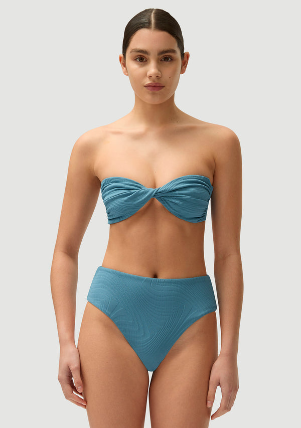 Fella Bernie Top Hydrangea