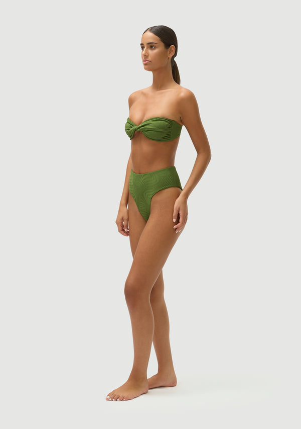 Fella Brian Bottom Cactus