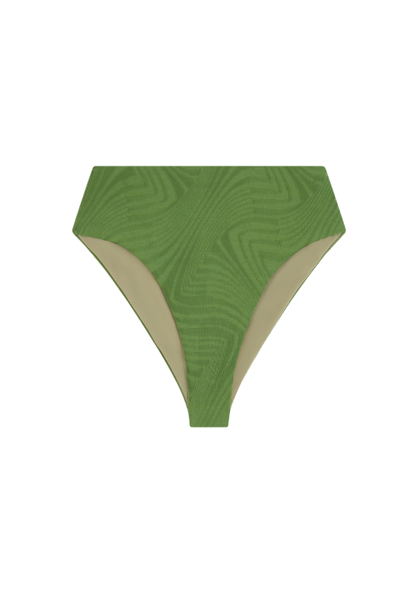 fella Brian Bottom Cactus