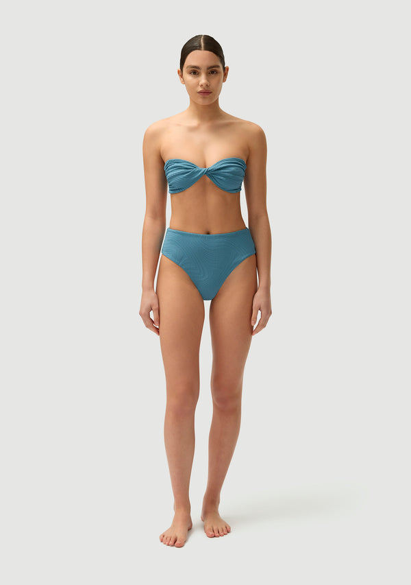 Fella Brian Bottom Hydrangea