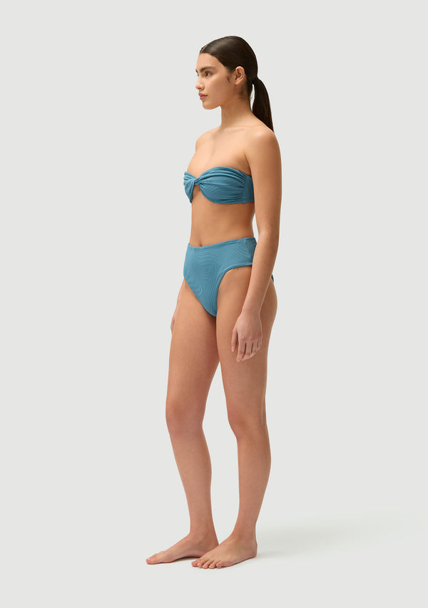 Fella Brian Bottom Hydrangea