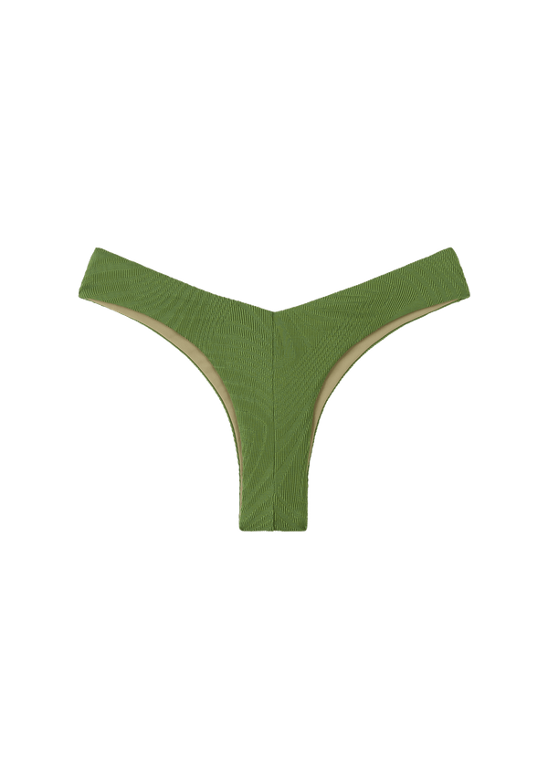 fella Chad Bottom Cactus