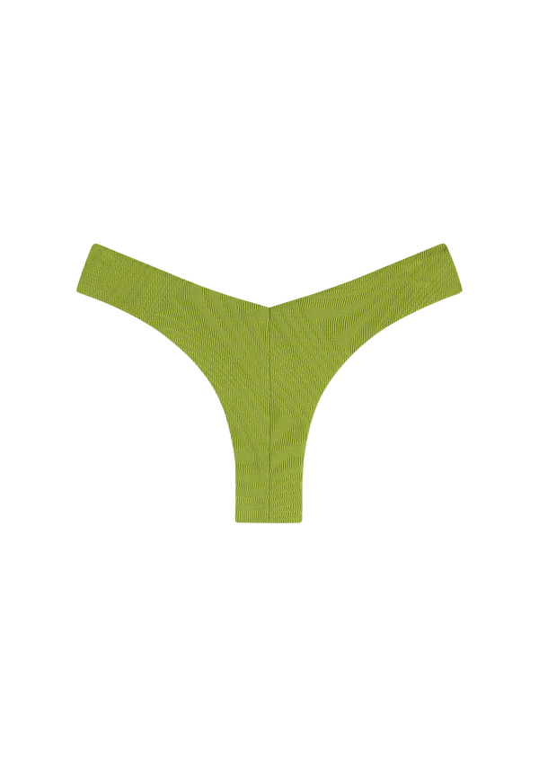 fella Chad Bottom Fern