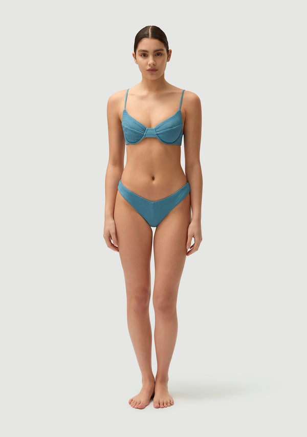 Fella Chad Bottom Hydrangea