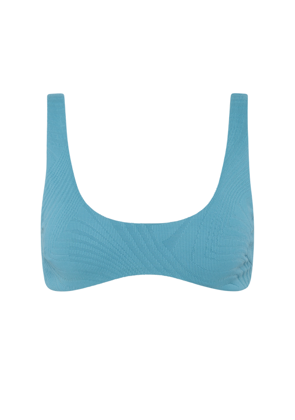 fella Donald Top Hydrangea