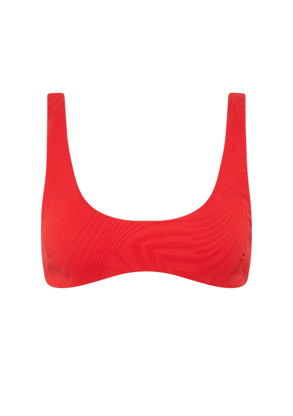 fella Donald Top Tomato