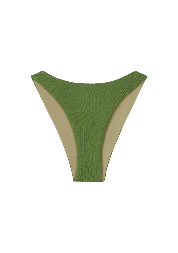 fella Elvis Bottom Cactus