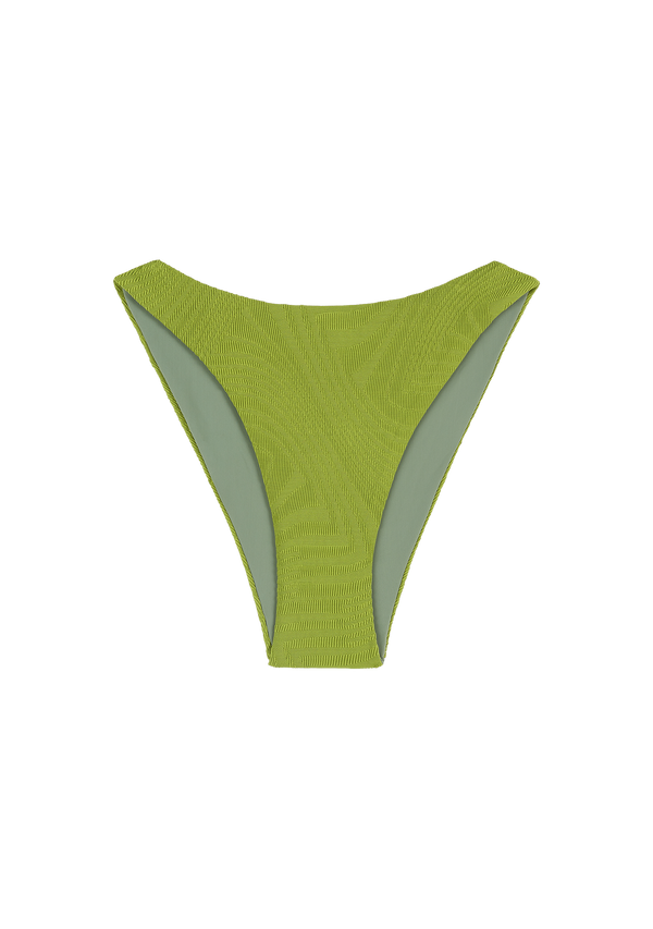 fella Elvis Bottom Fern