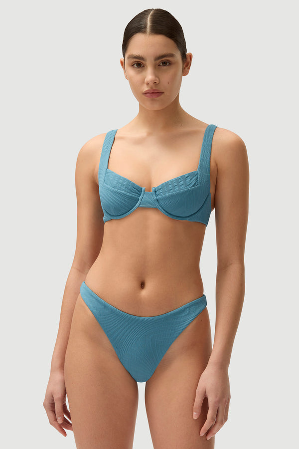 Fella Elvis Bottom Hydrangea