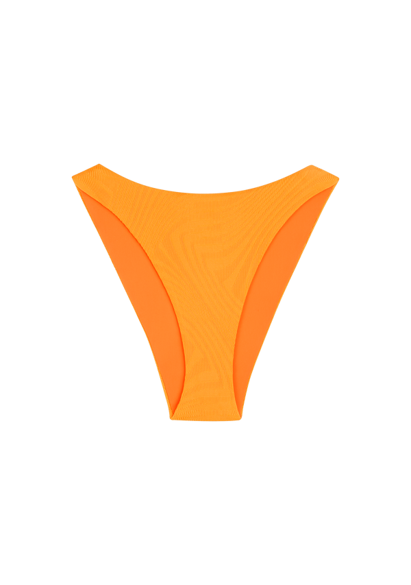 fella Elvis Bottom Turmeric