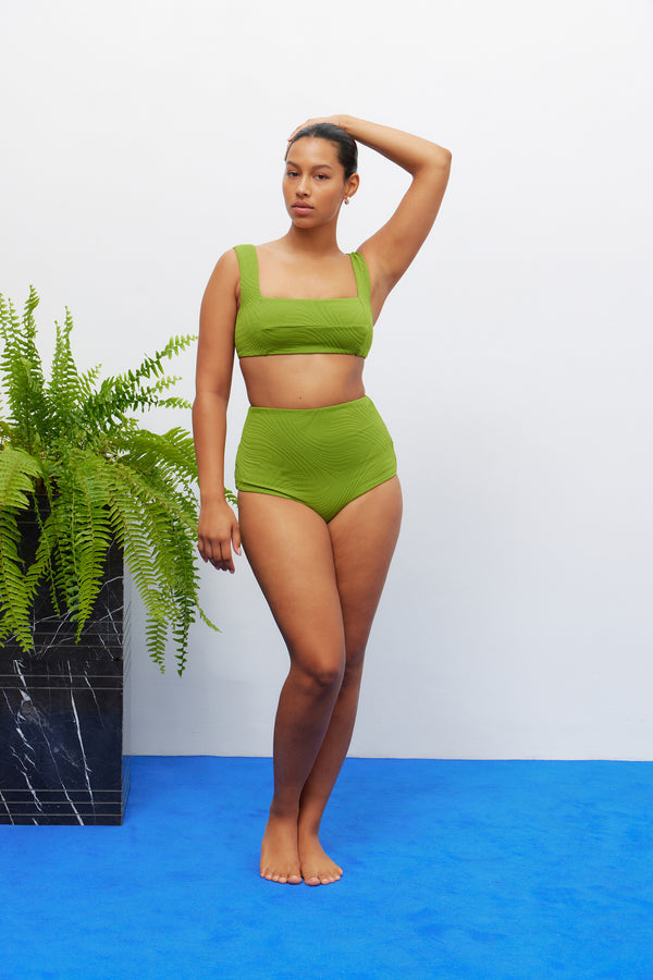 Fella Franco Top Fern