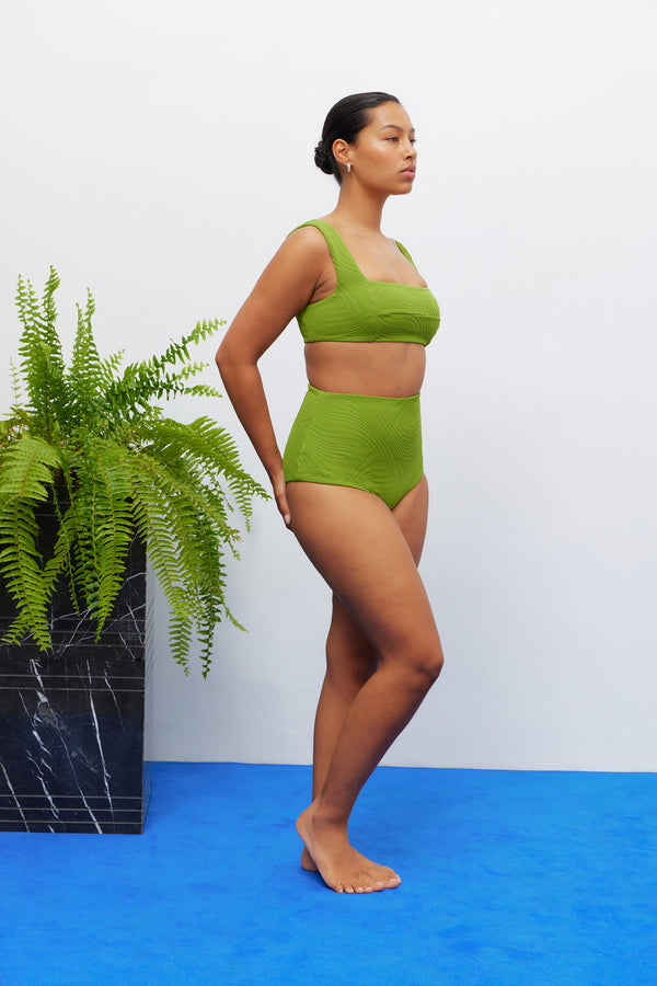 Fella Franco Top Fern