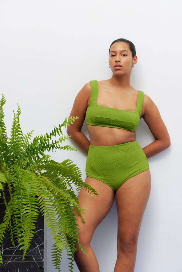 Fella Franco Top Fern