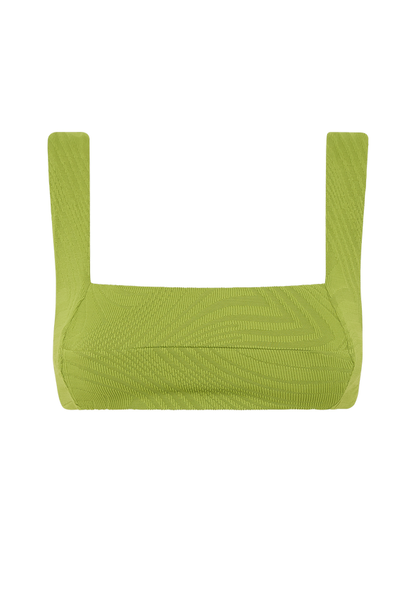 fella Franco Top Fern