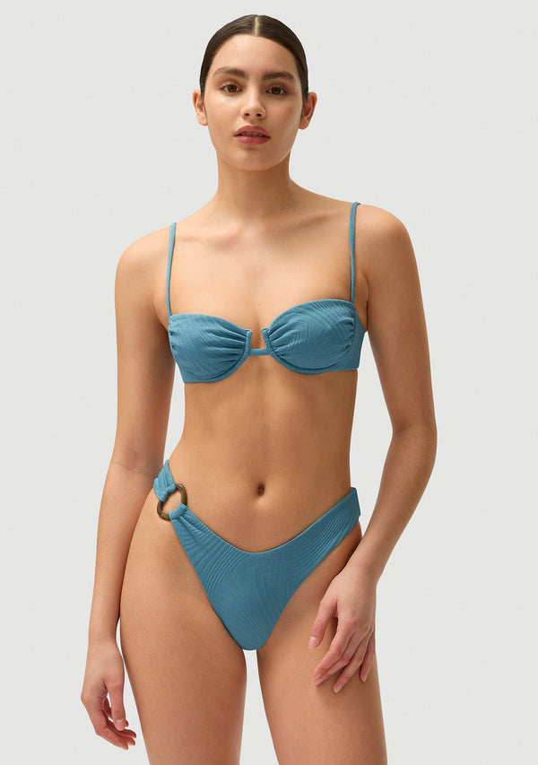 Fella Gabriel Top Hydrangea