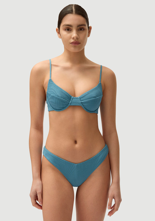 Fella Gareth Top Hydrangea