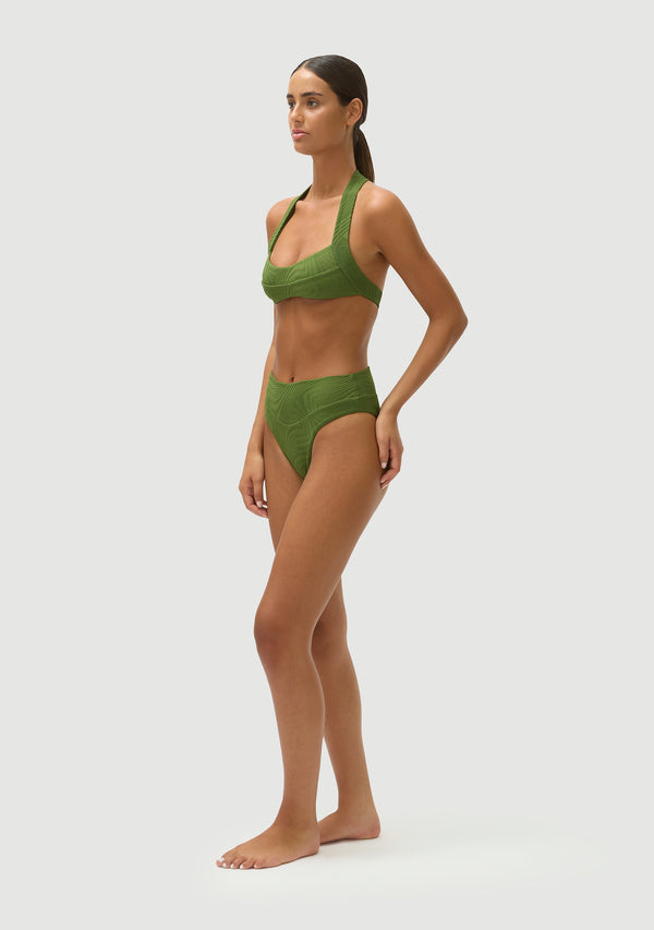 Fella Herbie Bottom Cactus