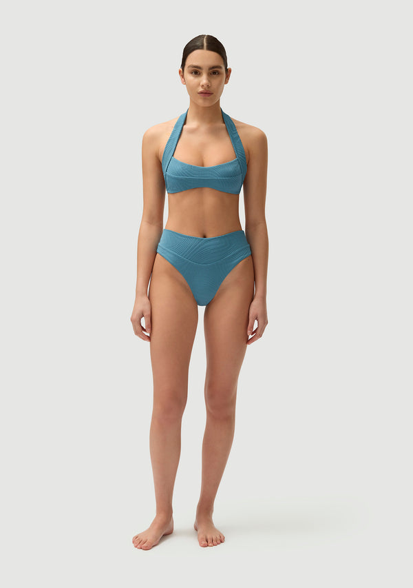 Fella Herbie Bottom Hydrangea