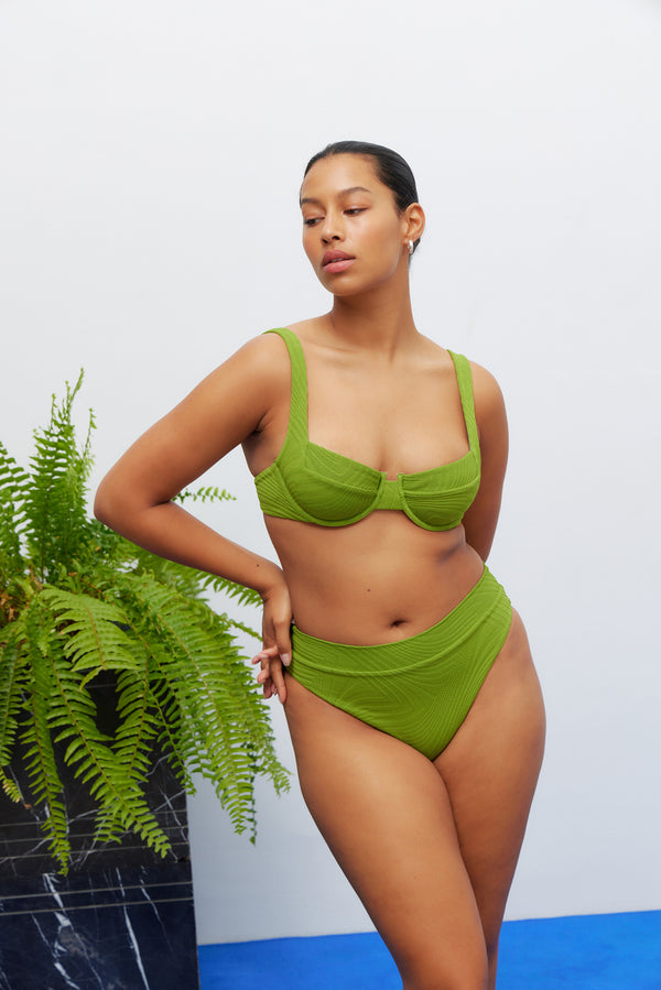 Fella Hubert Bottom Fern