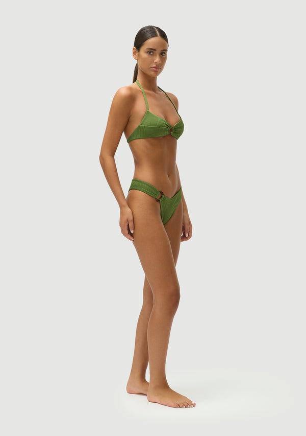 Fella Luca Bottom Cactus