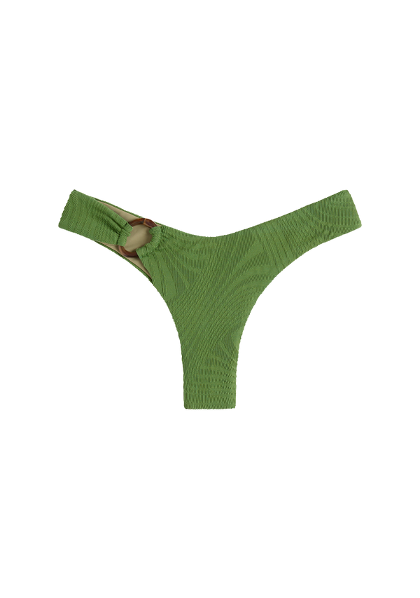 fella Luca Bottom Cactus