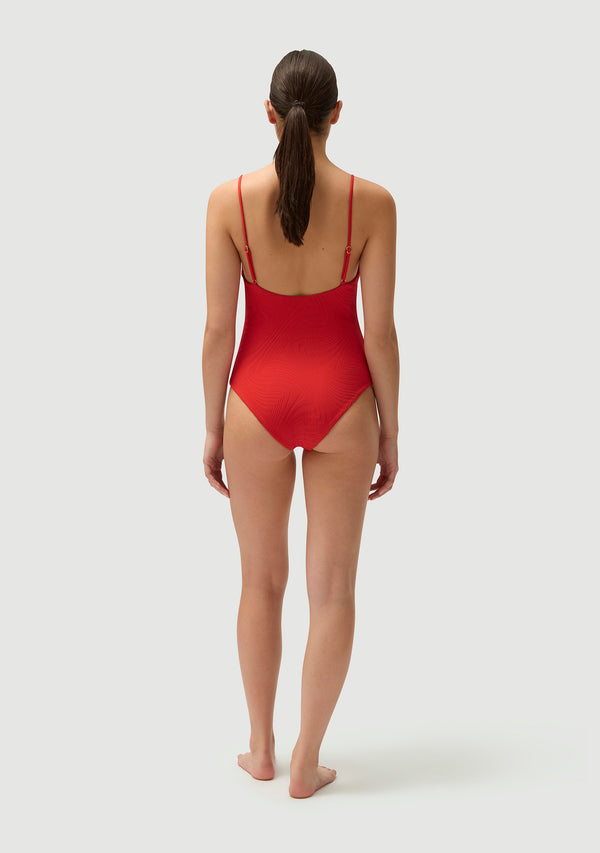 Fella Marty Full Piece Tomato