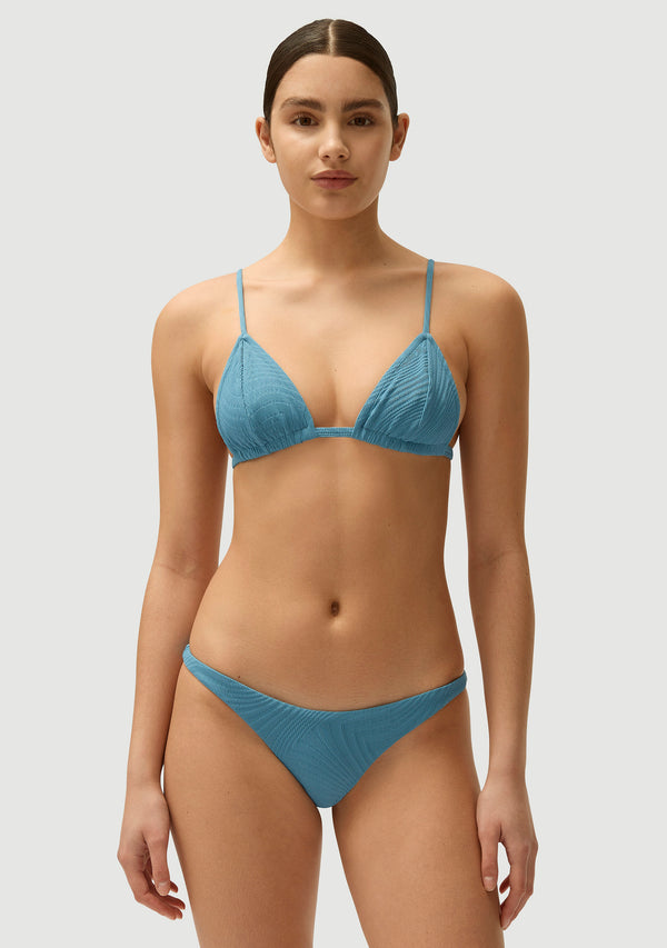 Fella Mr Smith Bottom Hydrangea