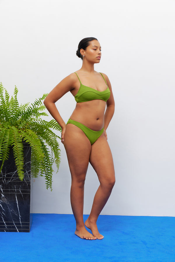 Fella Solomon Top Fern