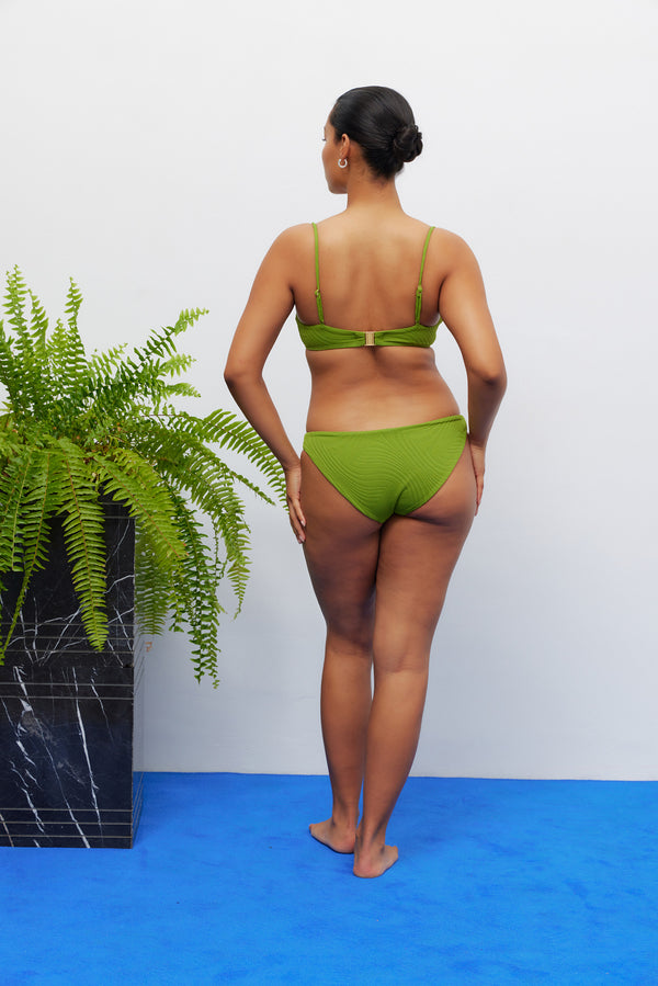 Fella Solomon Top Fern