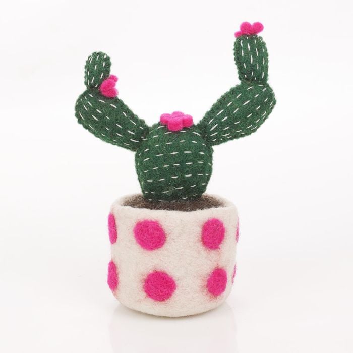 felt so good Cactus Opuntia (spotty base)